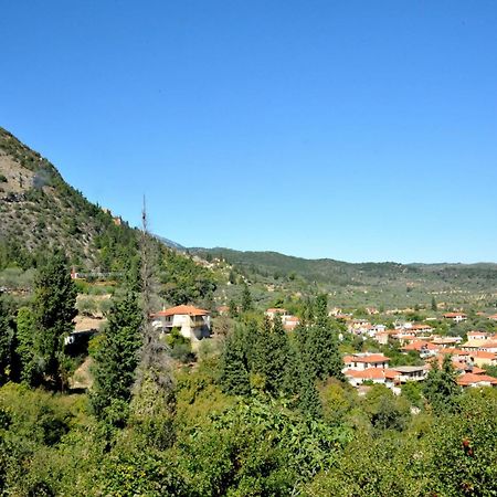 Aesthetic Delight - Stone Villa In Mystras Eksteriør bilde